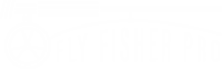 fly fisher pro logo