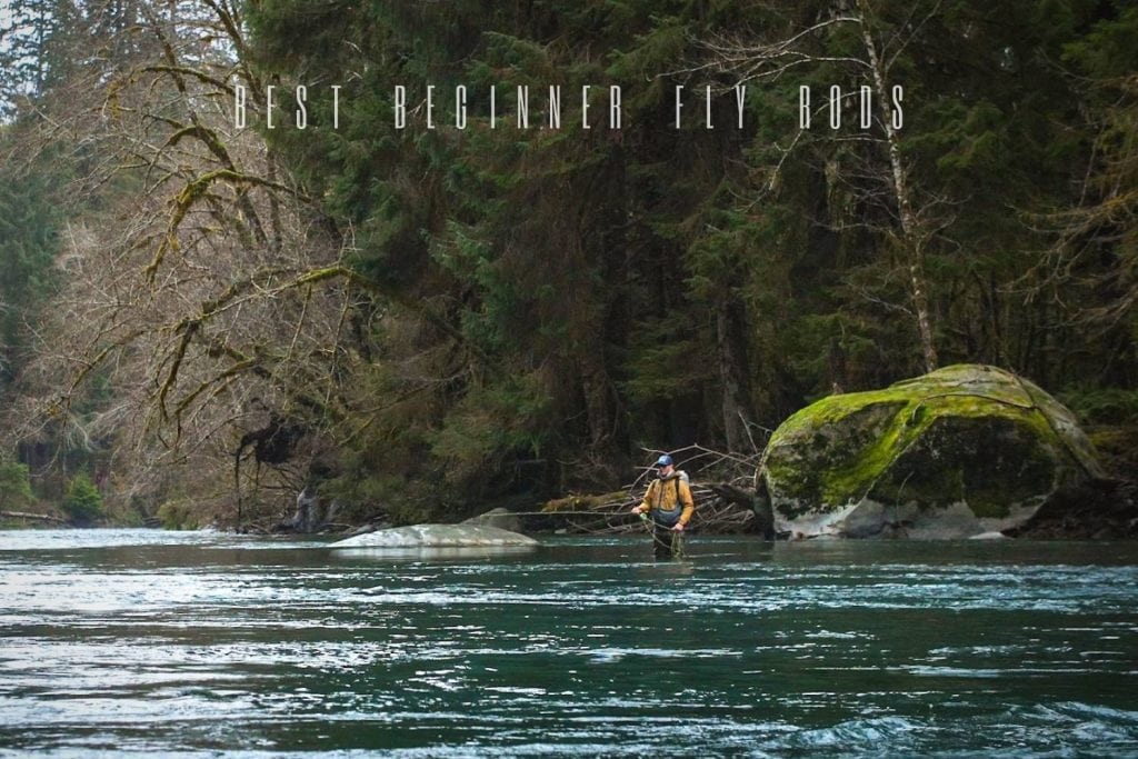 best beginner fly rods