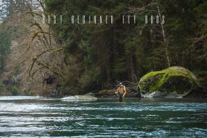 best beginner fly rods