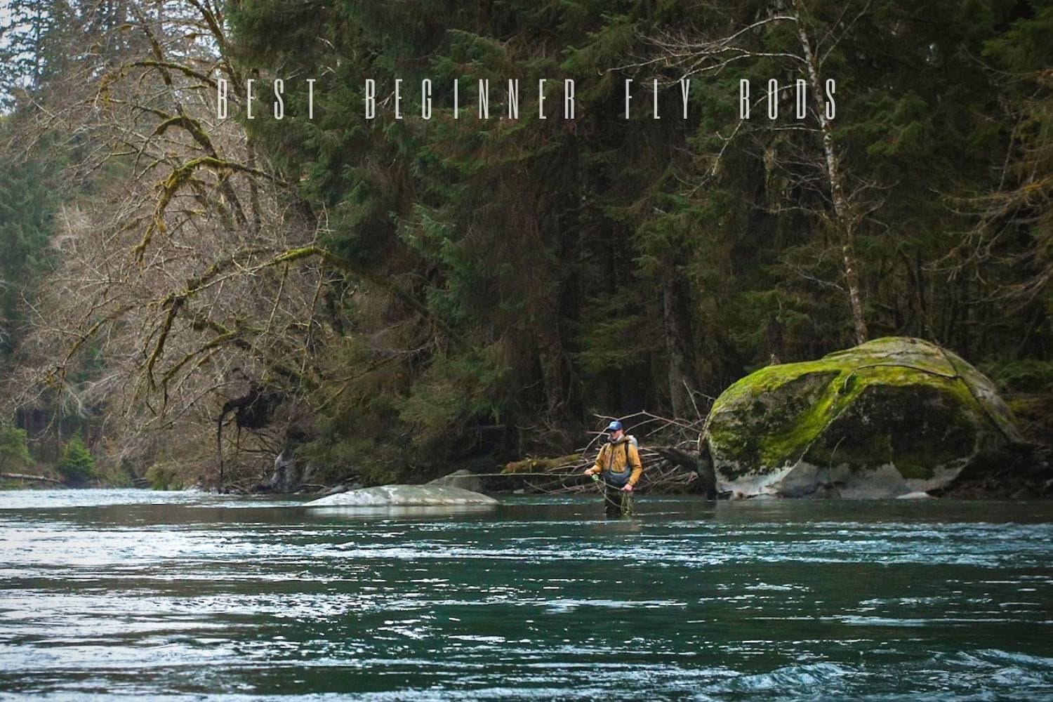 best beginner fly rods