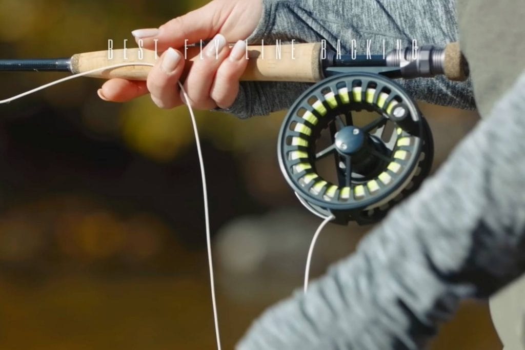 best fly line backing