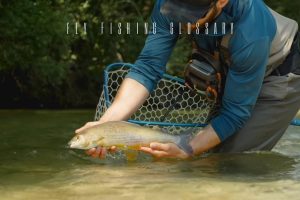 fly fishing terms