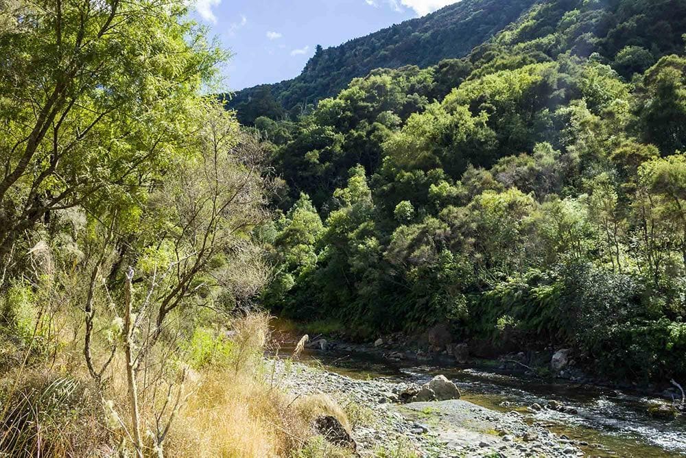 fly fisher pro
