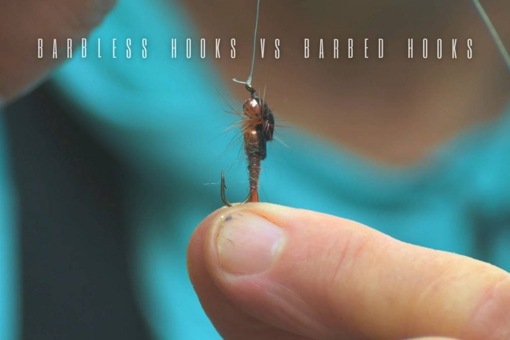 barbless hooks vs barbed hooks