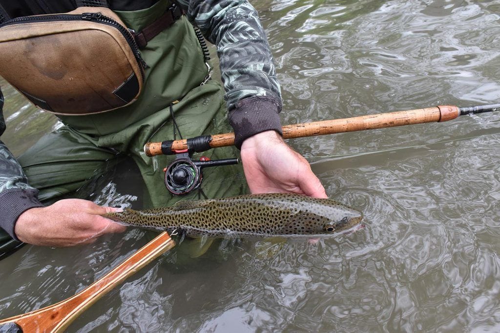 ok fishing report