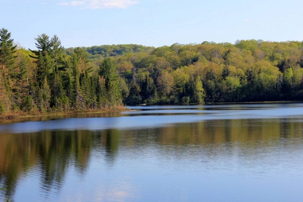 Beaver Lake