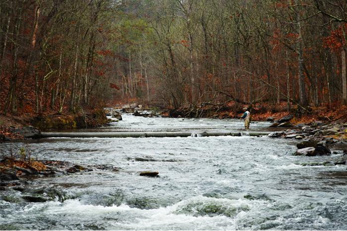 Lower Mountain Fork River