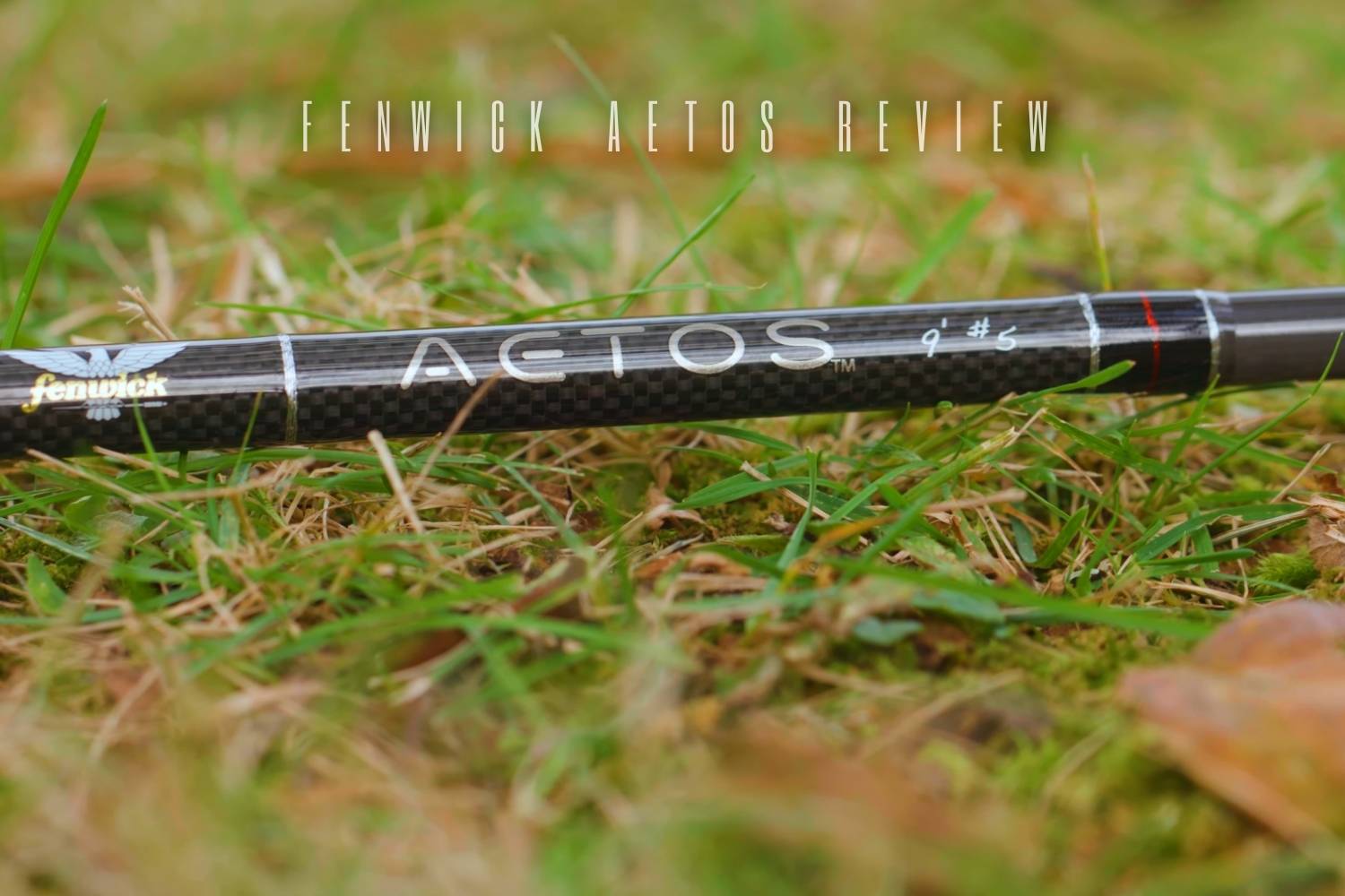 fenwick aetos review