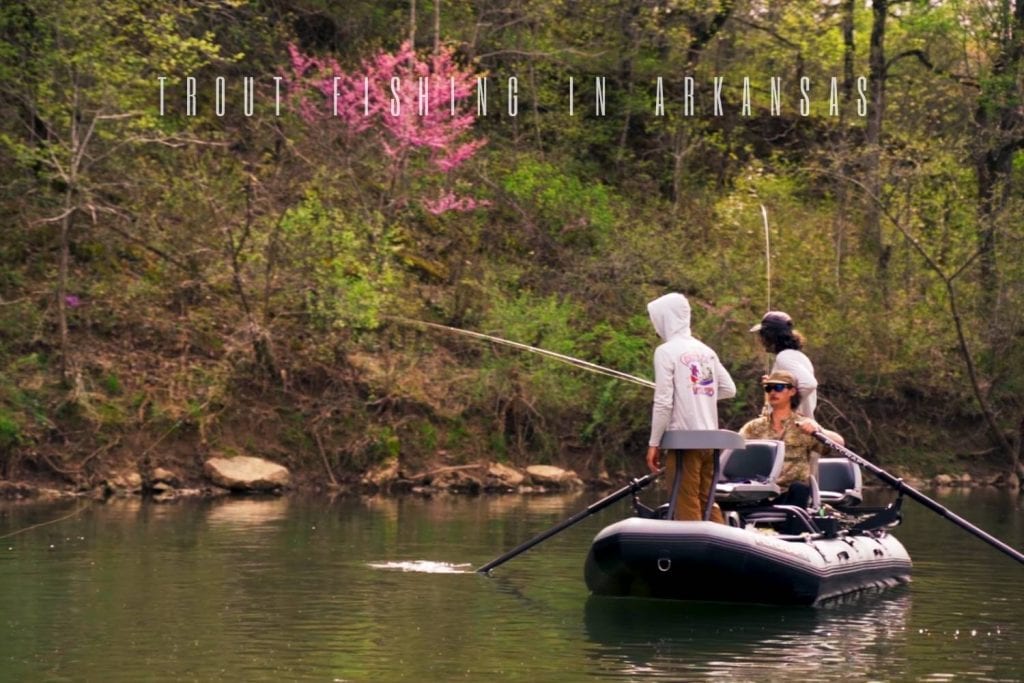 trout fishing in arkansas