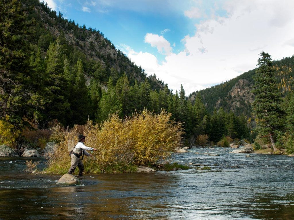 trout fishing colorado