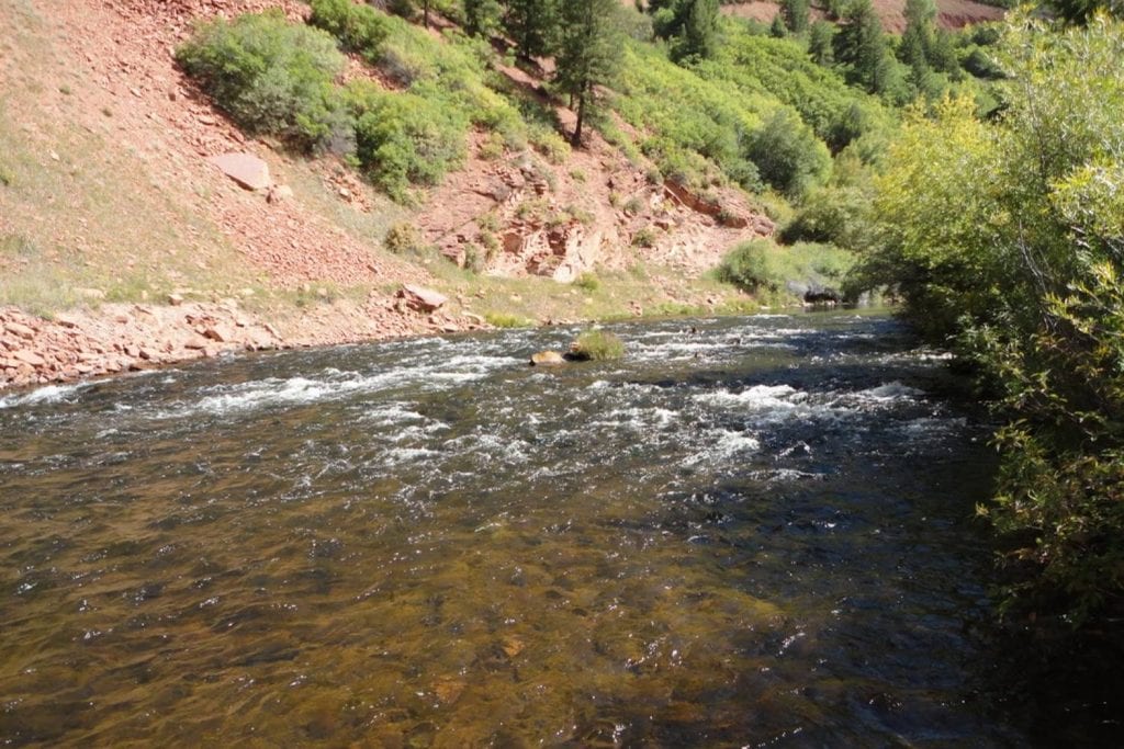 Frying- Pan River