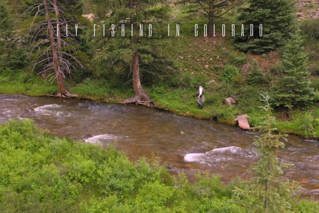 fly fishing colorado
