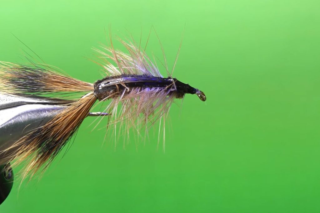 Soft Shell Crayfish