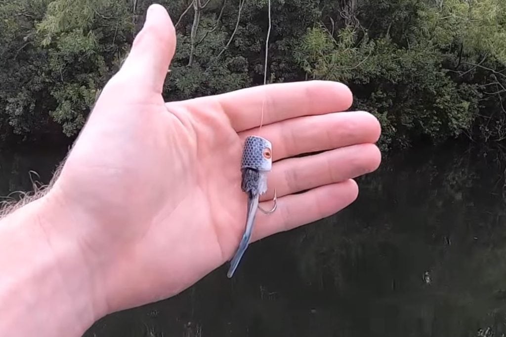 Topwater Popper
