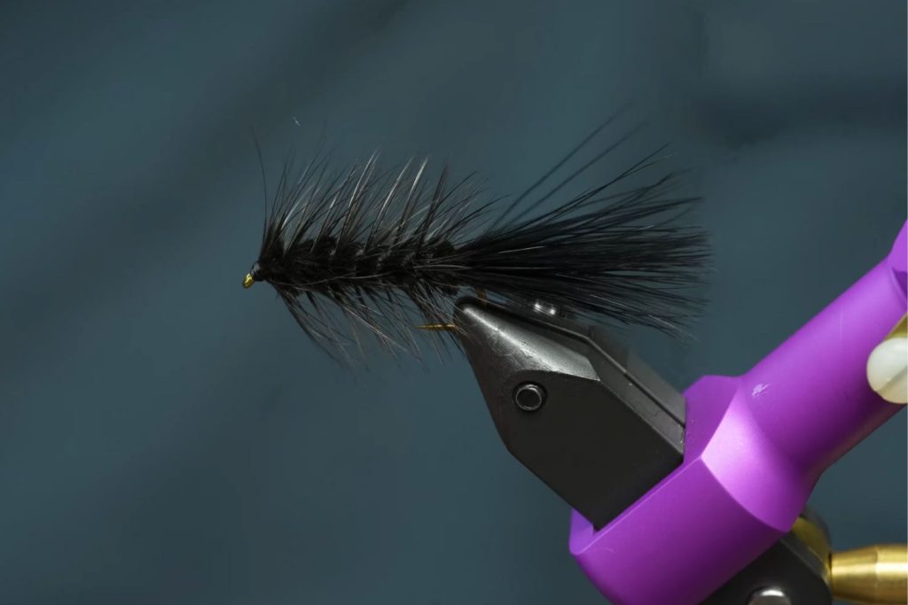 Woolly Bugger