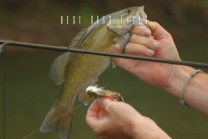 best bass flies