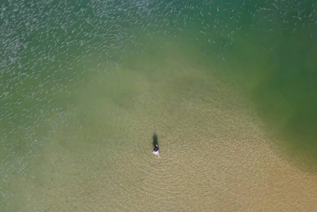 saltwater fly fishing wrap up