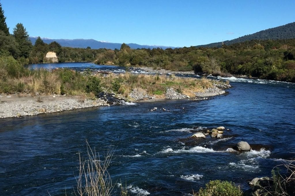 Tongariro River