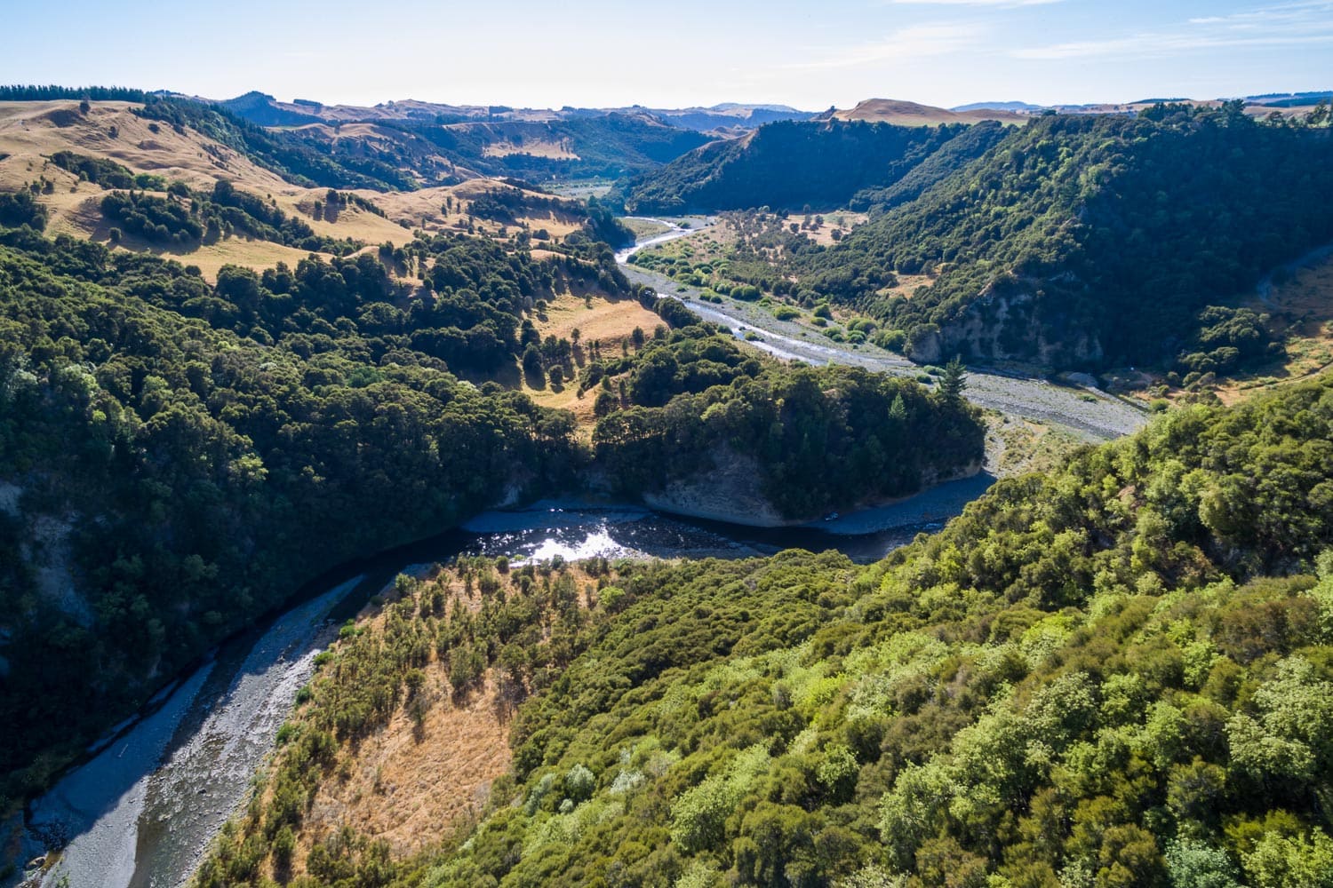 fly fishing new zealand