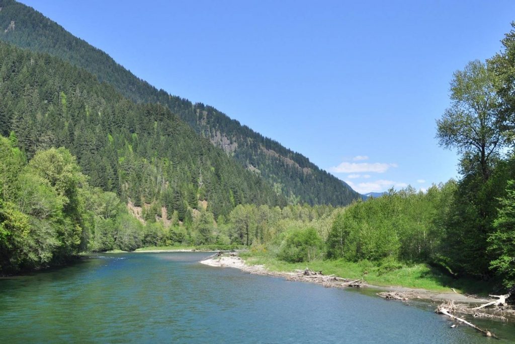 Skagit River