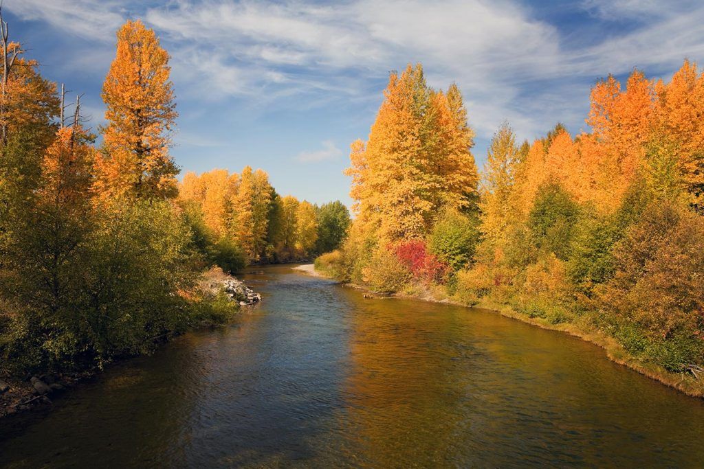 pacific fly fishers
