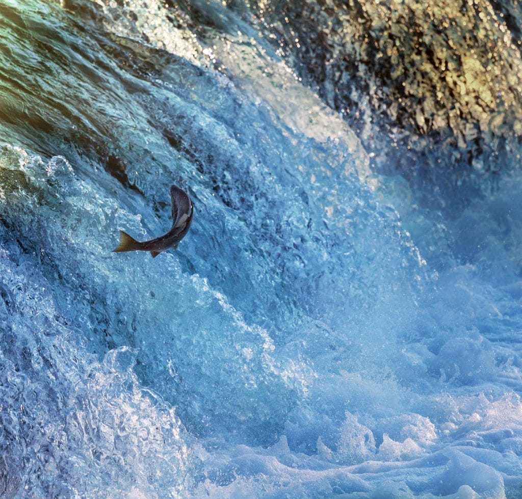fishing in washington