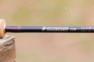 Sage ESN Review