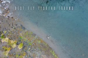 best-fly-fishing-forums
