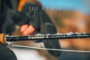 sage x review