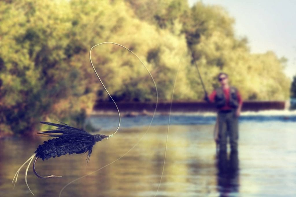 Best Flies