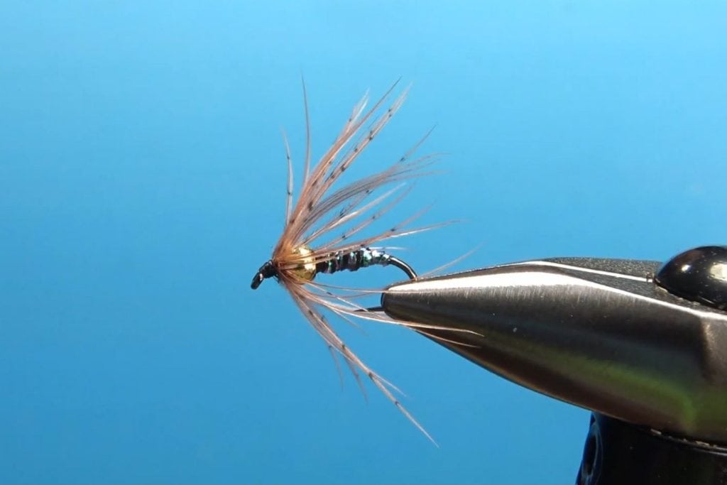 Soft Hackle Wet Fly