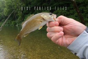 best panfish flies