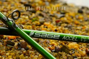 sage accel review