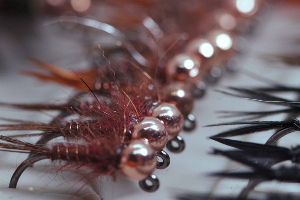 stonefly