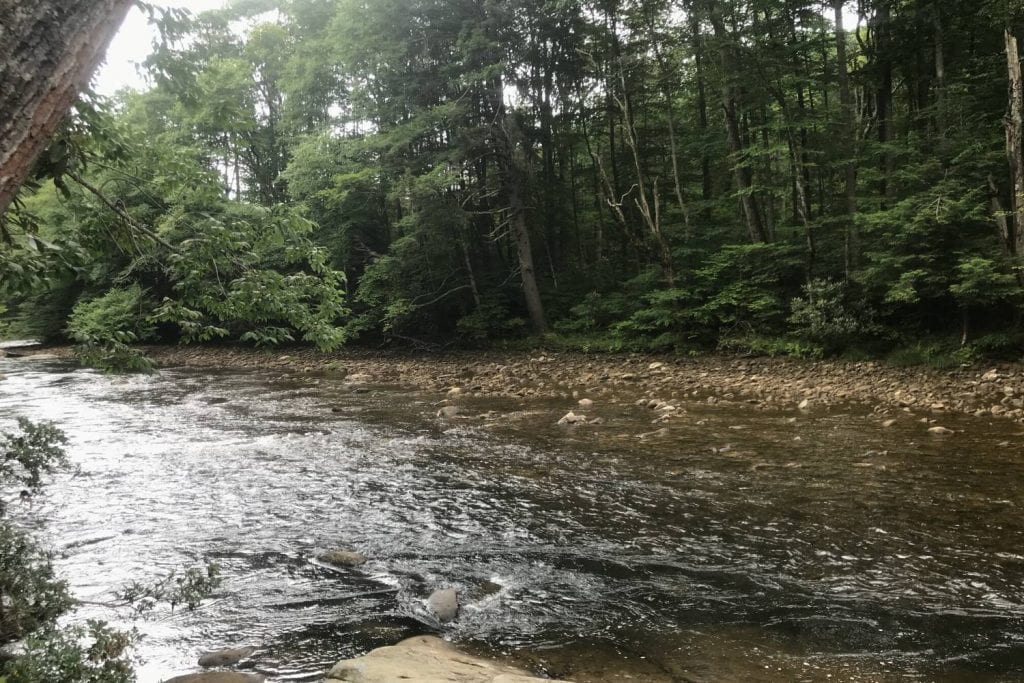 Cranberry River