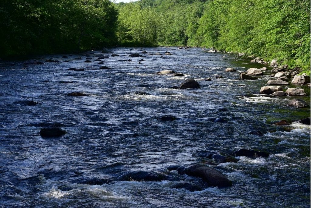 Farmington River