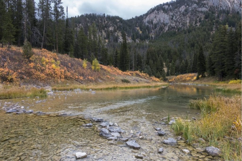 Flat Creek