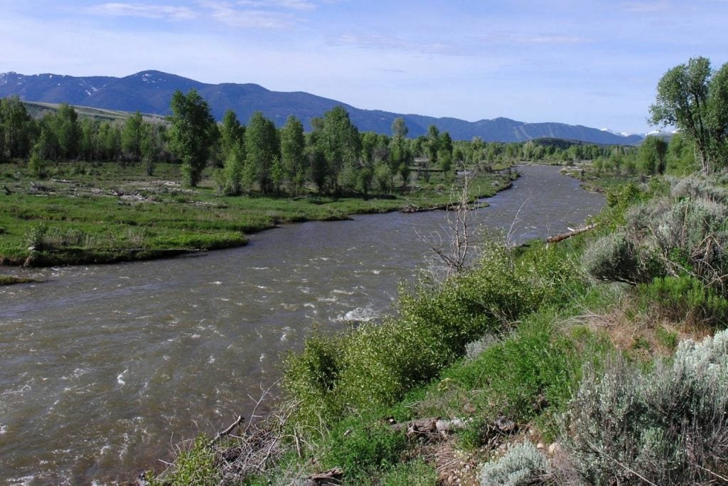 Gros Ventre River
