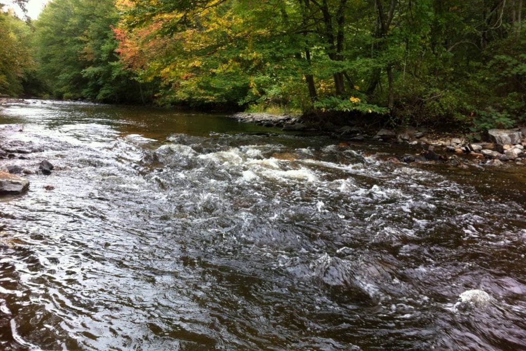 Moosup River