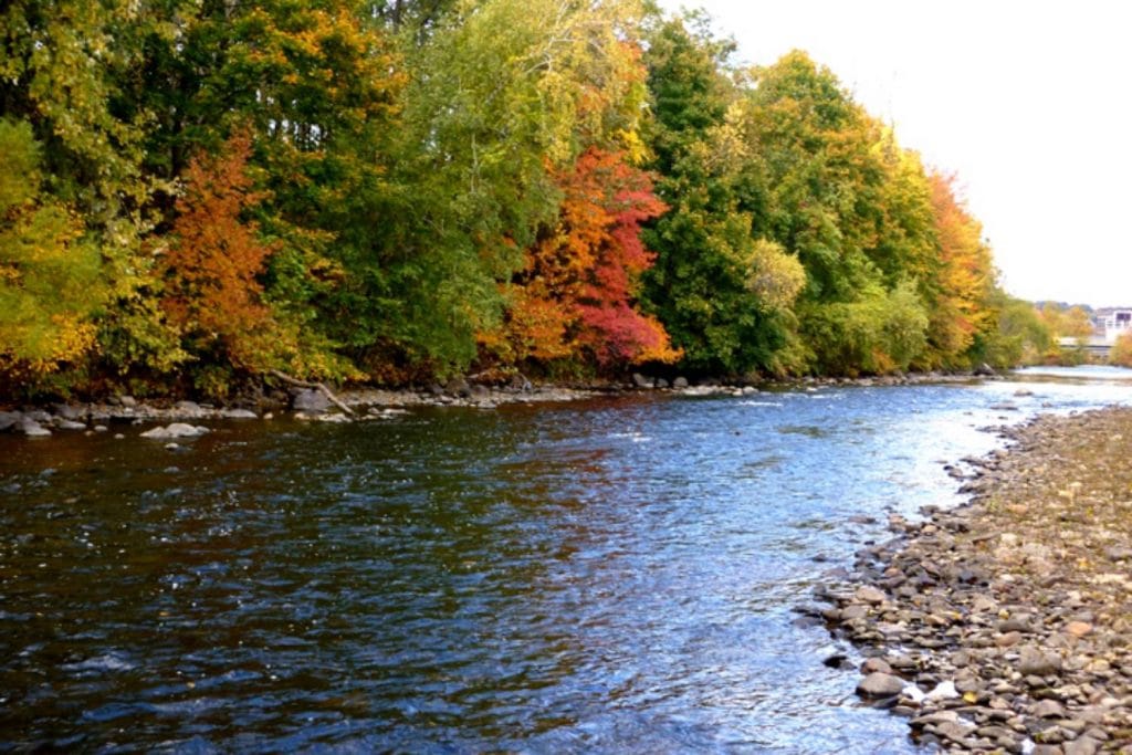 Naugatuck River