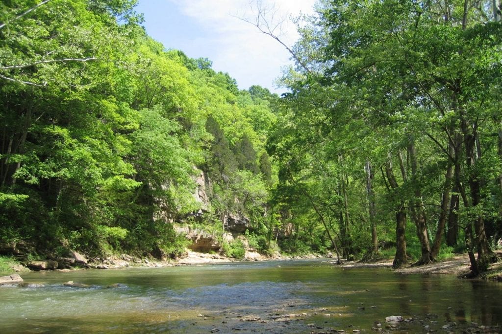 Otter Creek