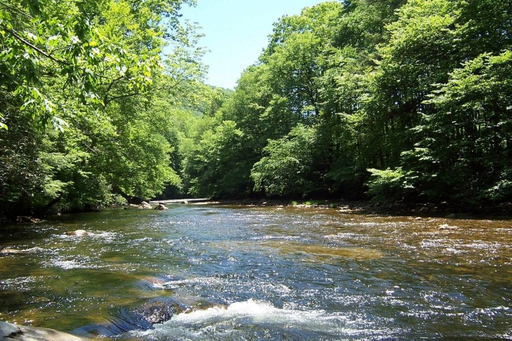 Williams River