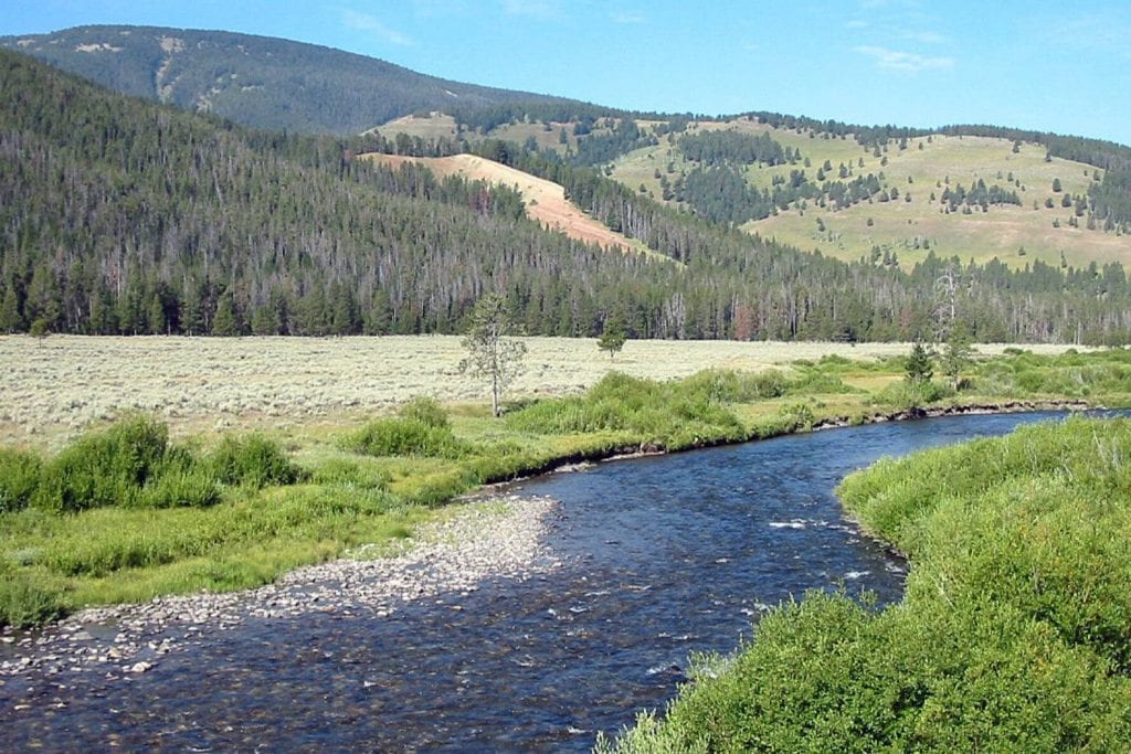 Yellowstone National Park
