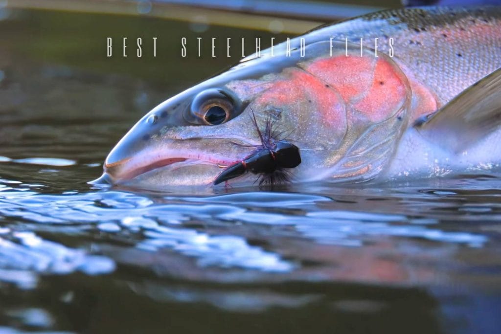 best steelhead flies