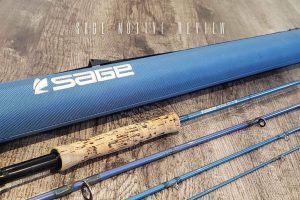 sage motive review