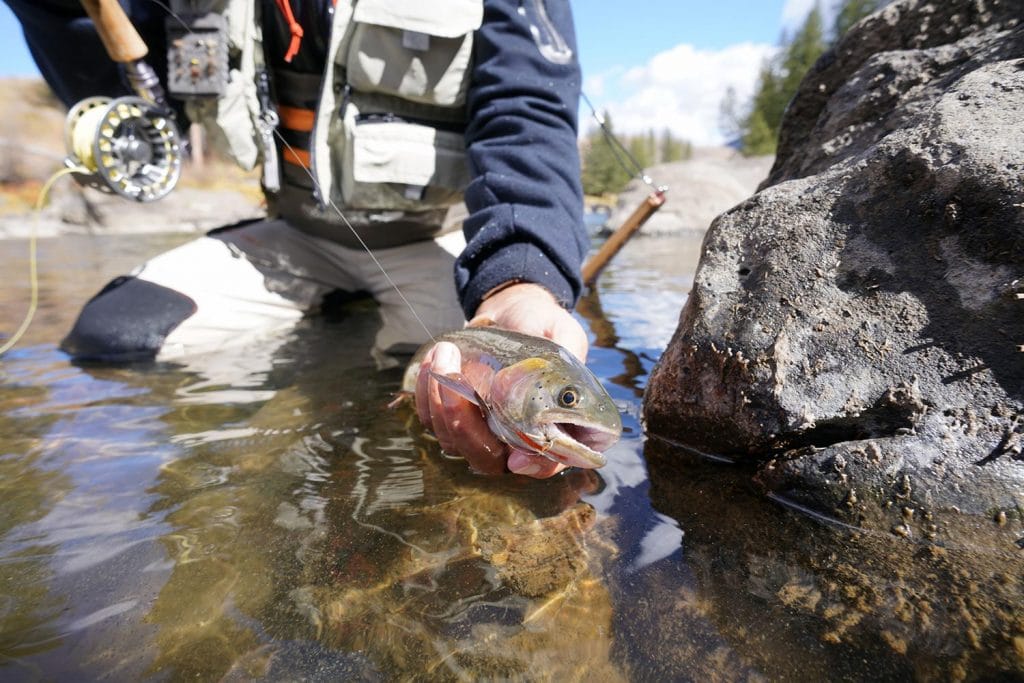 vermont fishing license