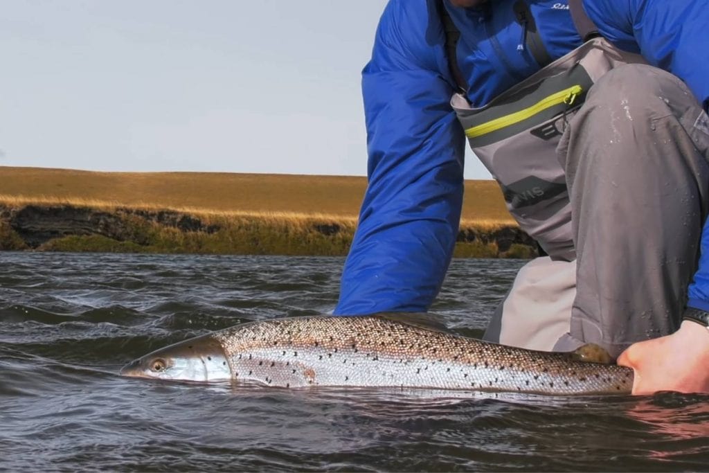 used fly rods wrap up