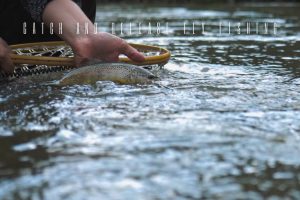 catch and release fly fishing
