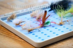 best fly box for dry flies and nymphs