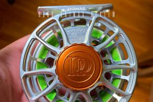 ross animas review